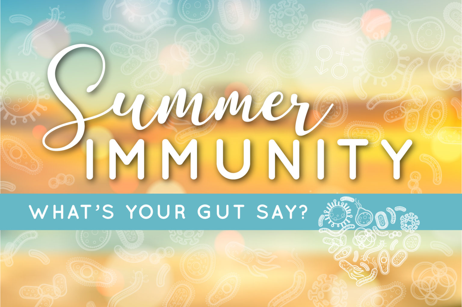 summer-immunity-header-01-1536x1023-1