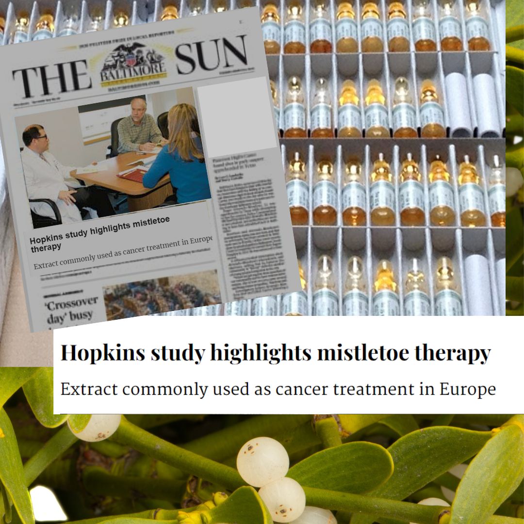 Hopkins Study Highlights Mistletoe Therapy – Baltimore Sun Front Page