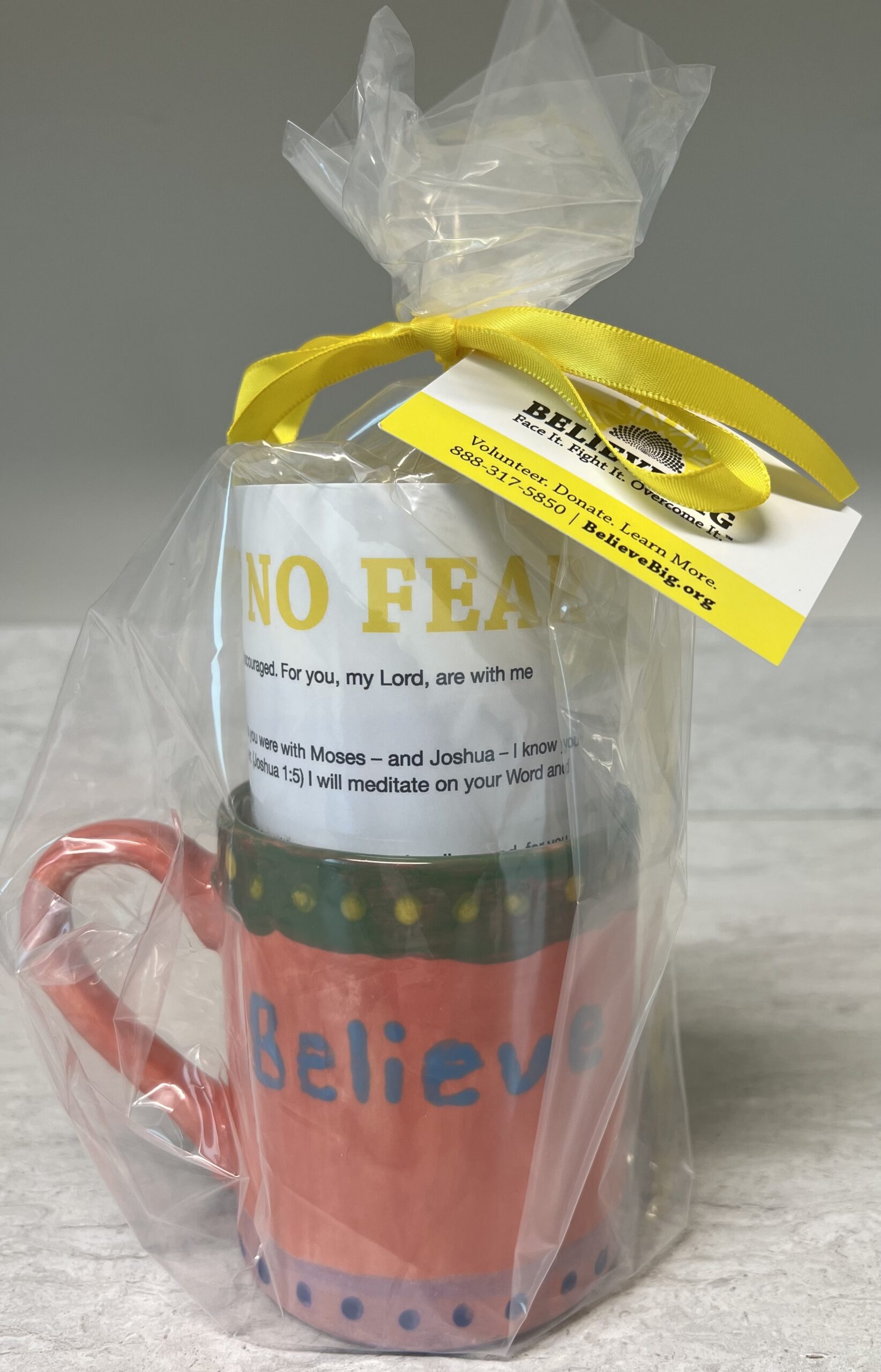 Paint a Believe Mug