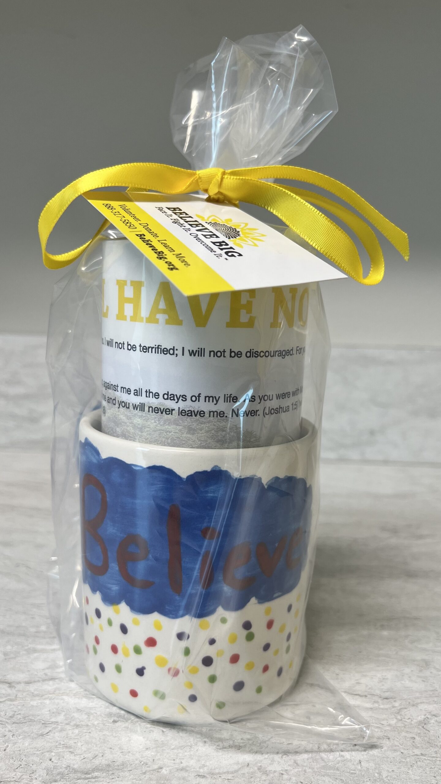 Paint a Believe Mug