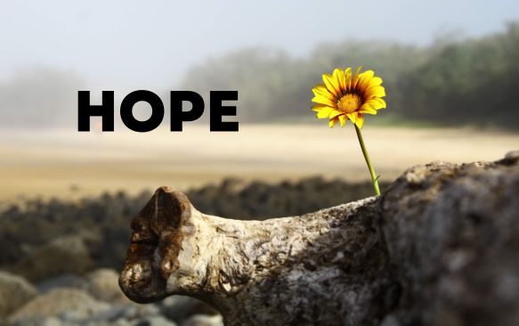 Finding Hope in Hard Times