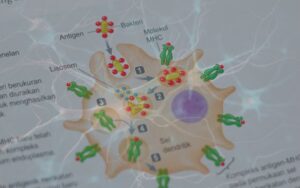dendritic-cell-therapy-dr-rubin